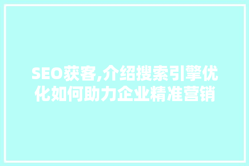 SEO获客,介绍搜索引擎优化如何助力企业精准营销  第1张