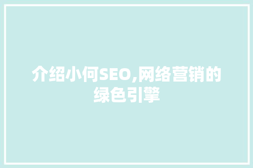 介绍小何SEO,网络营销的绿色引擎  第1张