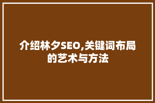 介绍林夕SEO,关键词布局的艺术与方法