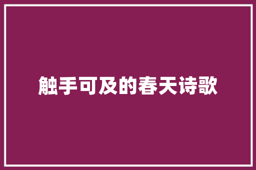 外链SEO,提升网站排名的秘密武器