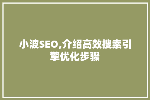 小波SEO,介绍高效搜索引擎优化步骤