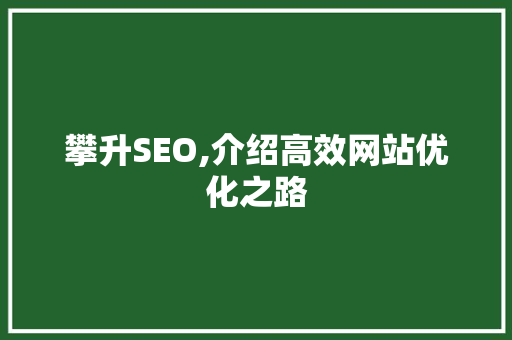 攀升SEO,介绍高效网站优化之路