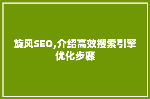 旋风SEO,介绍高效搜索引擎优化步骤
