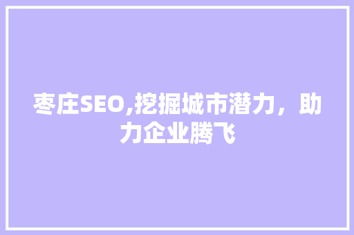 枣庄SEO,挖掘城市潜力，助力企业腾飞
