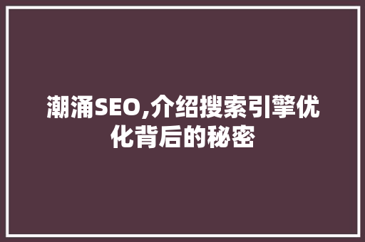 潮涌SEO,介绍搜索引擎优化背后的秘密  第1张