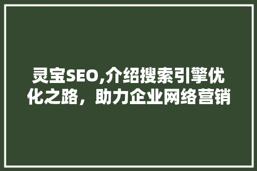 灵宝SEO,介绍搜索引擎优化之路，助力企业网络营销