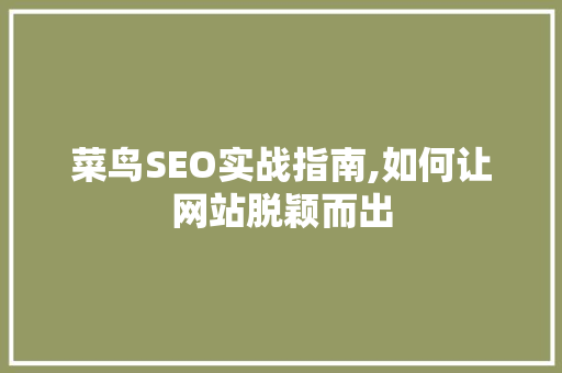 菜鸟SEO实战指南,如何让网站脱颖而出
