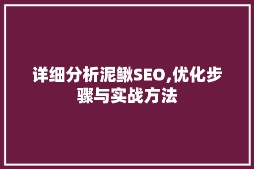 详细分析泥鳅SEO,优化步骤与实战方法