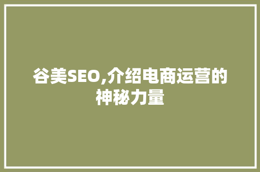 谷美SEO,介绍电商运营的神秘力量