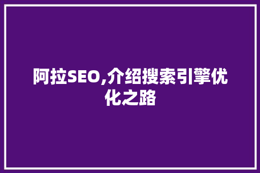 阿拉SEO,介绍搜索引擎优化之路
