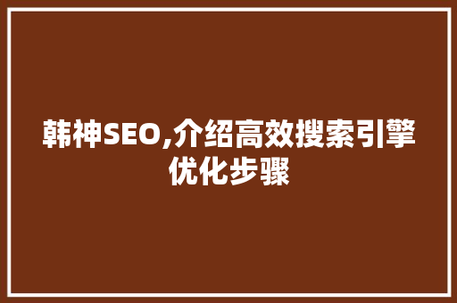 韩神SEO,介绍高效搜索引擎优化步骤