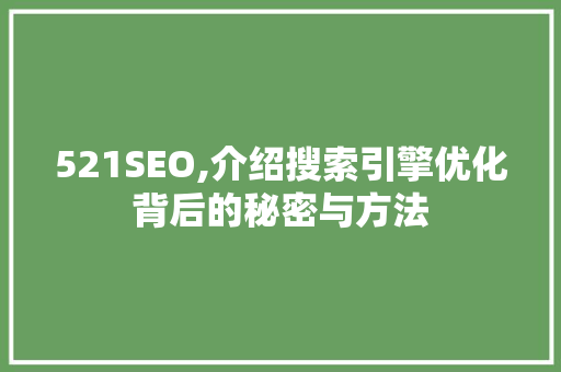 521SEO,介绍搜索引擎优化背后的秘密与方法