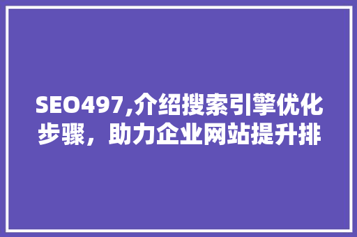 SEO497,介绍搜索引擎优化步骤，助力企业网站提升排名