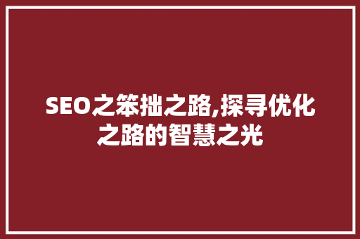SEO之笨拙之路,探寻优化之路的智慧之光