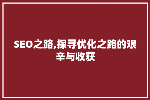 SEO之路,探寻优化之路的艰辛与收获