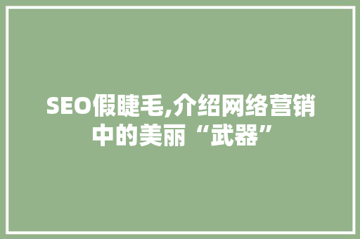 SEO假睫毛,介绍网络营销中的美丽“武器”