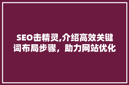 SEO击精灵,介绍高效关键词布局步骤，助力网站优化