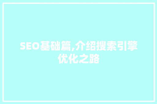 SEO基础篇,介绍搜索引擎优化之路