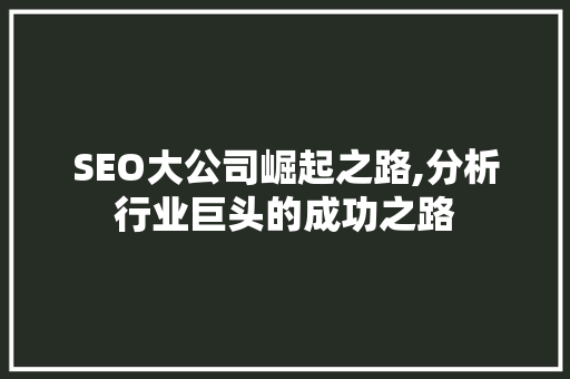 SEO大公司崛起之路,分析行业巨头的成功之路