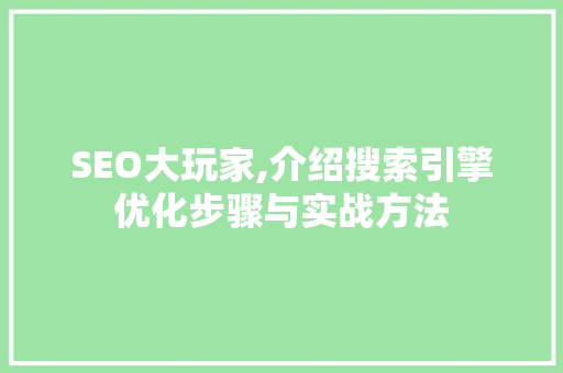 SEO大玩家,介绍搜索引擎优化步骤与实战方法