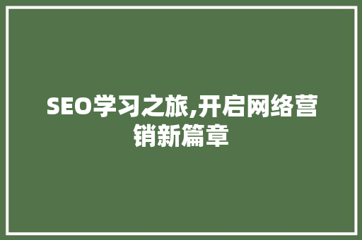 SEO学习之旅,开启网络营销新篇章