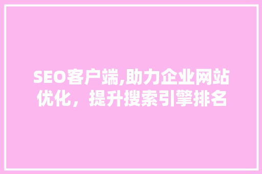SEO客户端,助力企业网站优化，提升搜索引擎排名