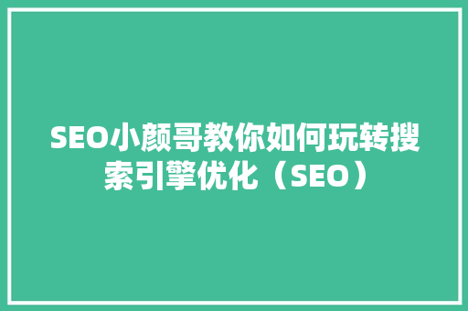 SEO小颜哥教你如何玩转搜索引擎优化（SEO）