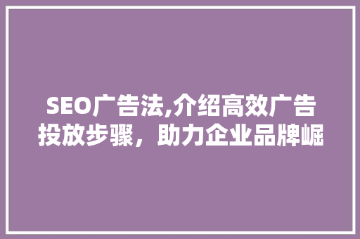 SEO广告法,介绍高效广告投放步骤，助力企业品牌崛起