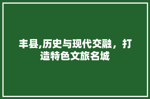 丰县,历史与现代交融，打造特色文旅名城