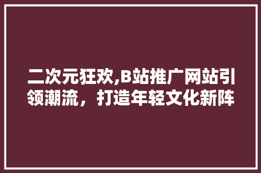 二次元狂欢,B站推广网站引领潮流，打造年轻文化新阵地  第1张