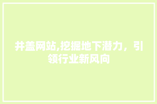 井盖网站,挖掘地下潜力，引领行业新风向