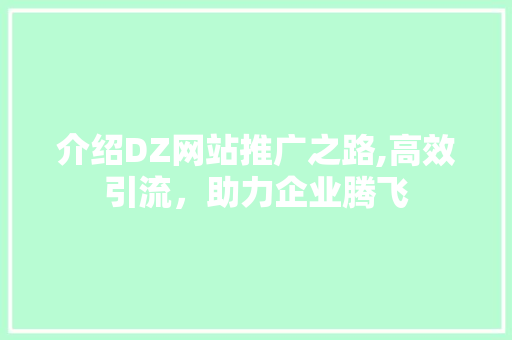 介绍DZ网站推广之路,高效引流，助力企业腾飞