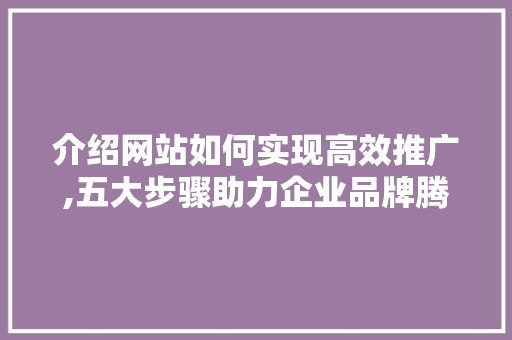 介绍网站如何实现高效推广,五大步骤助力企业品牌腾飞