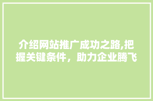 介绍网站推广成功之路,把握关键条件，助力企业腾飞