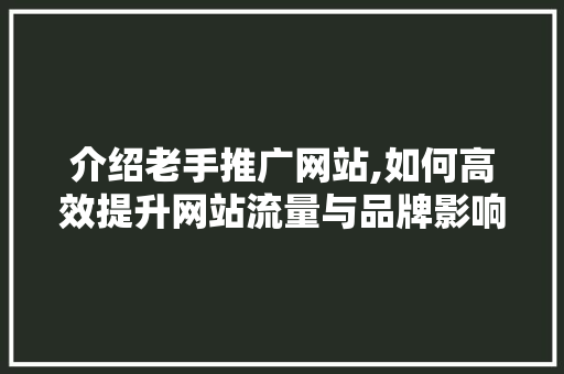 介绍老手推广网站,如何高效提升网站流量与品牌影响力