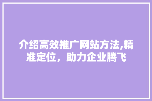 介绍高效推广网站方法,精准定位，助力企业腾飞
