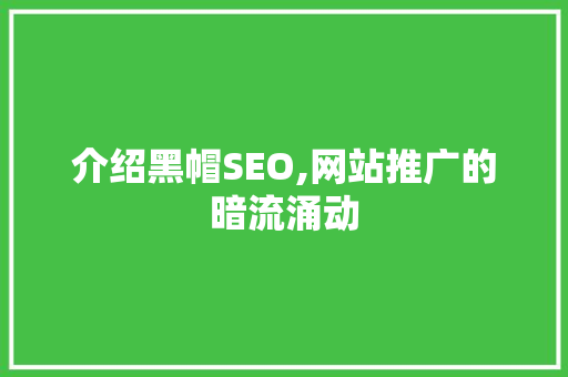 介绍黑帽SEO,网站推广的暗流涌动