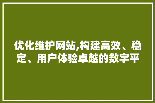 优化维护网站,构建高效、稳定、用户体验卓越的数字平台