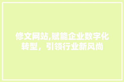 修文网站,赋能企业数字化转型，引领行业新风尚