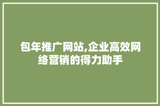 包年推广网站,企业高效网络营销的得力助手