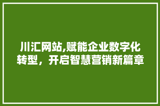 川汇网站,赋能企业数字化转型，开启智慧营销新篇章