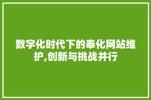 数字化时代下的奉化网站维护,创新与挑战并行
