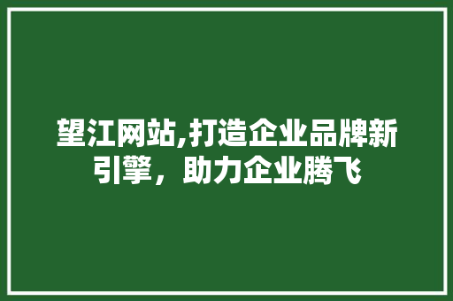 望江网站,打造企业品牌新引擎，助力企业腾飞