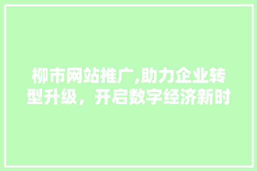 柳市网站推广,助力企业转型升级，开启数字经济新时代
