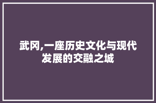 武冈,一座历史文化与现代发展的交融之城