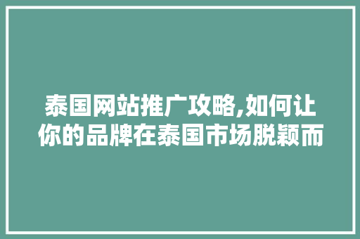 泰国网站推广攻略,如何让你的品牌在泰国市场脱颖而出