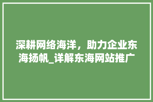 深耕网络海洋，助力企业东海扬帆_详解东海网站推广步骤