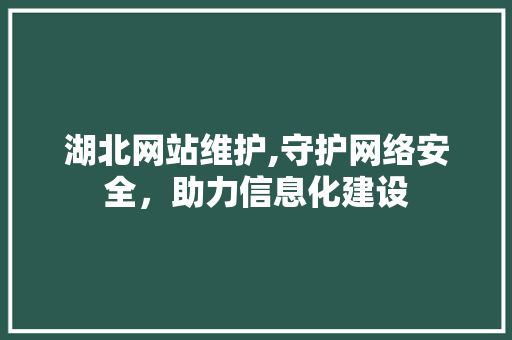 湖北网站维护,守护网络安全，助力信息化建设