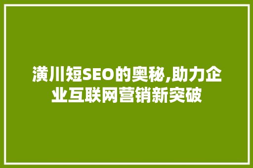 潢川短SEO的奥秘,助力企业互联网营销新突破