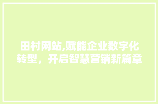 田村网站,赋能企业数字化转型，开启智慧营销新篇章  第1张